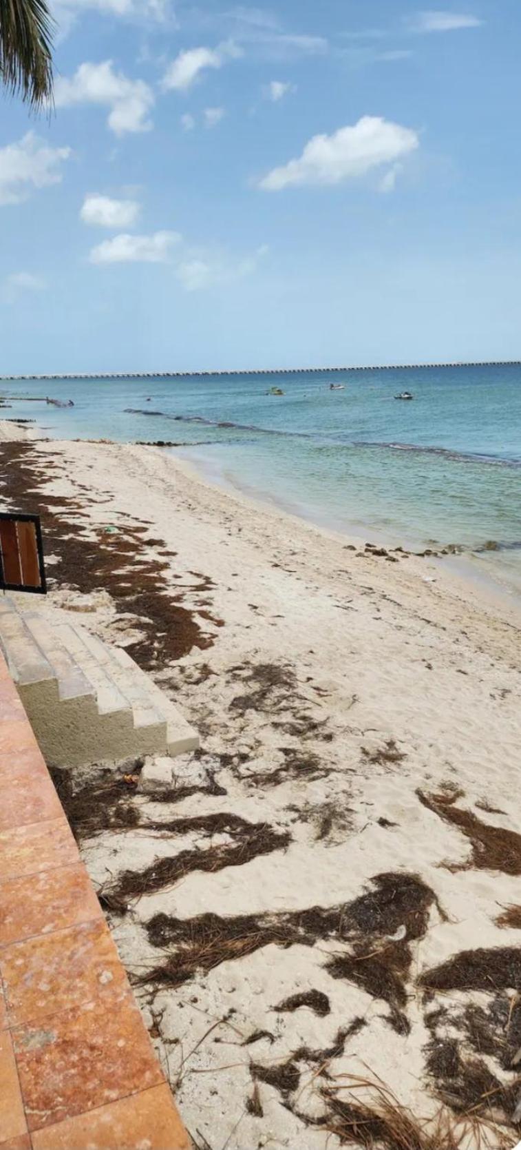 Condominios Orca Progreso  Exterior foto